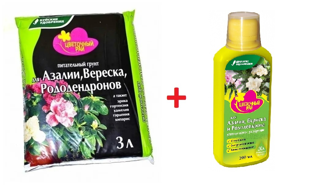 Грунт для азалий подойдет ли. Грунт для азалий, вереска и рододендрона 3 л "цветочный рай". Грунт для Азалии, вереска ... 20 Л. Нестеровский. ЖКУ "цветочный рай" для Азалии, вереска и рододендрона. ЖКУ "чудо спрей" для азалий, вересков, рододендронов состав.