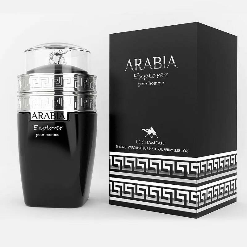 arabia pour homme le chameau