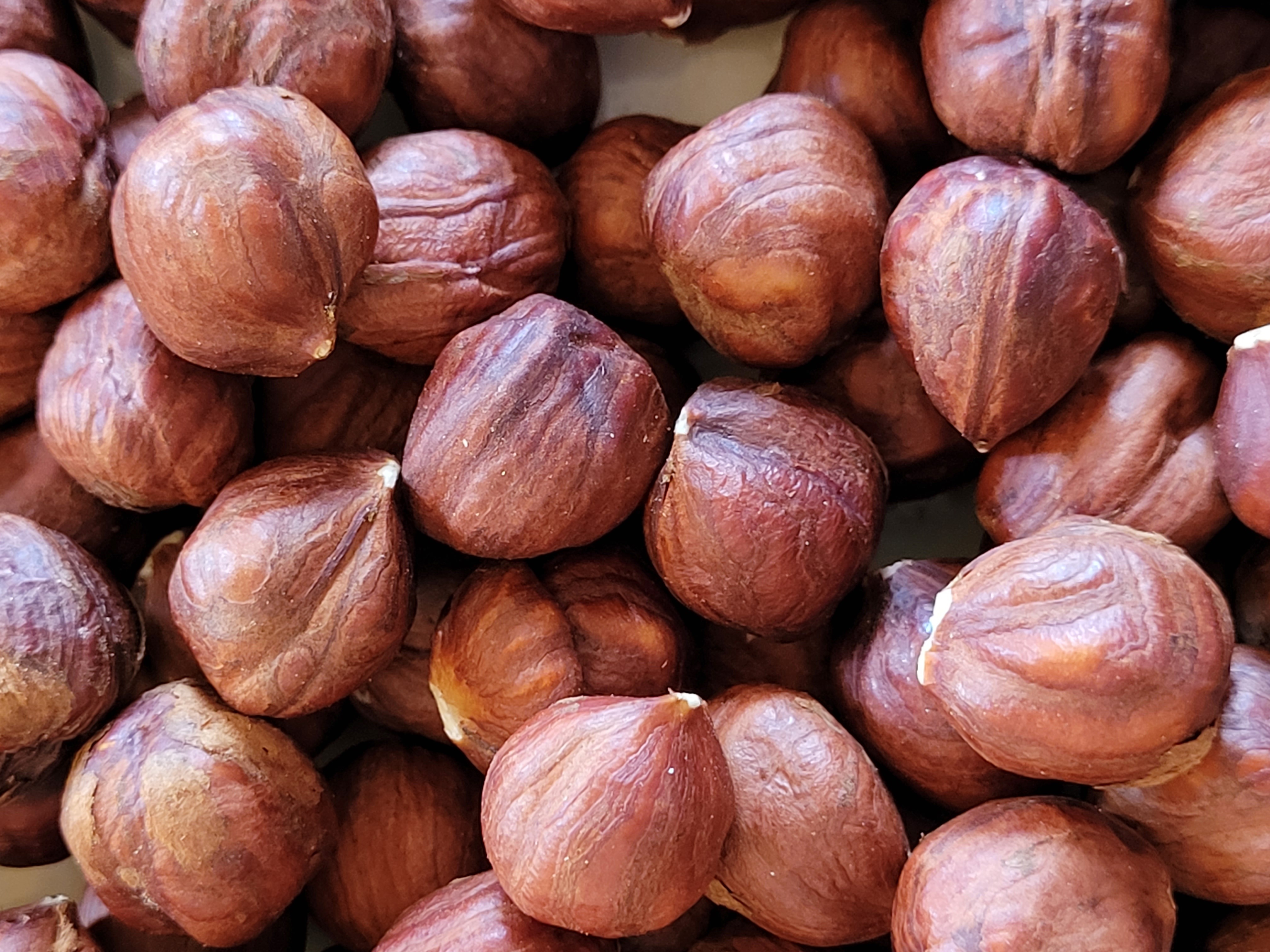 фундук сырой 15 +. фундук сырой. сырой фундук как выглядит. фундук очищенный 500 гр. фундук сырой (100 гр).