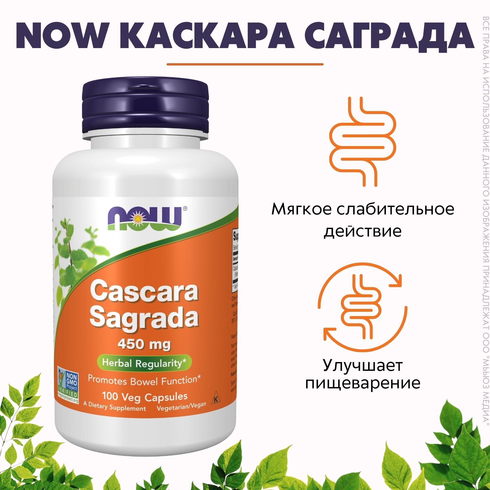 Now Каскара Саграда 100 шт. Капсулы массой 556 мг