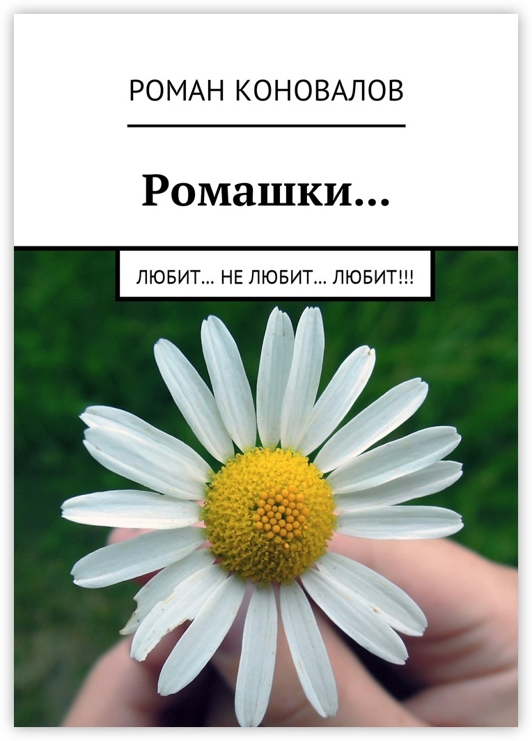 Картинка ромашка любит не любит