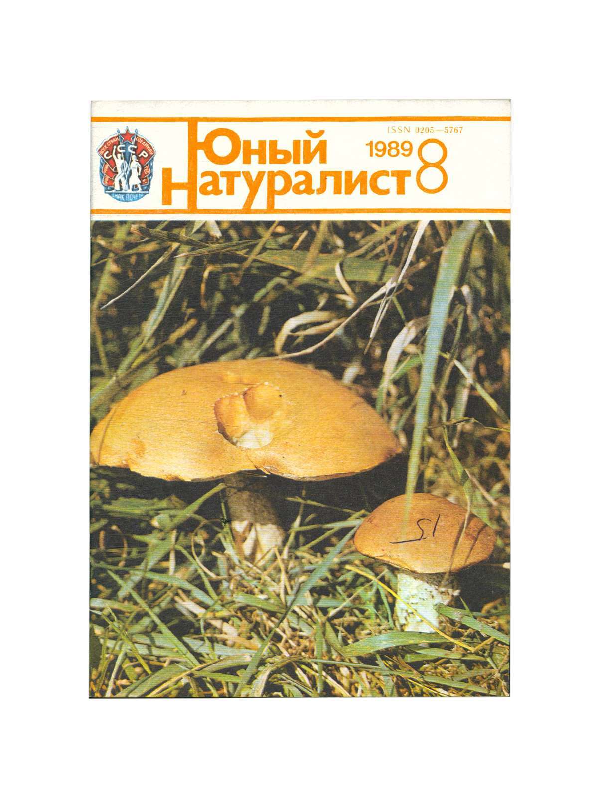 Юный натуралист ссср. Юный натуралист 1989. Юный натуралист журнал 1989. Юный натуралист журнал 1989 СССР. Юный натуралист № 2 1989.