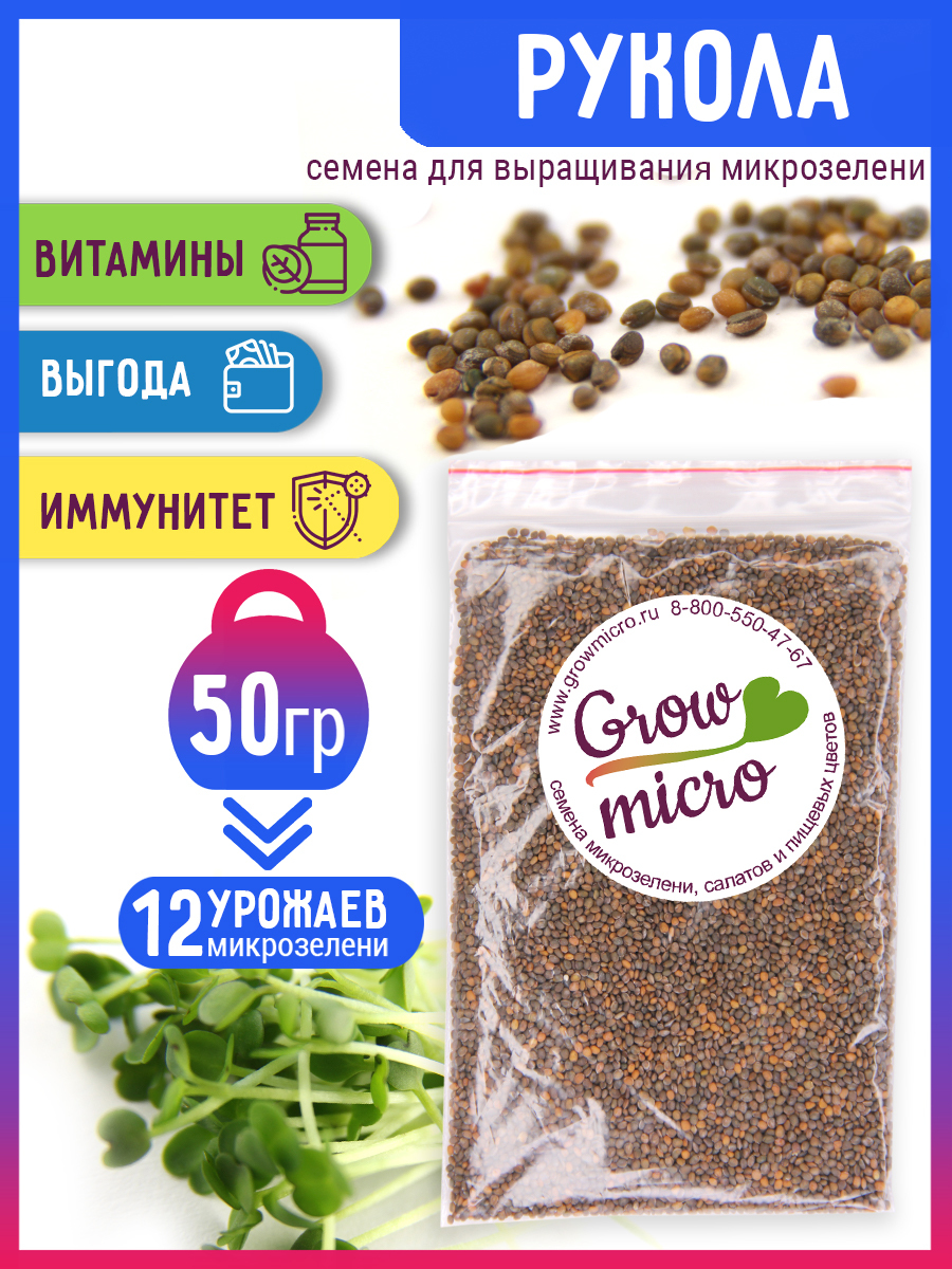 Руккола семена микрозелени для проращивания, 50 г - купить с доставкой повыгодным ценам в интернет-магазине OZON (264508424)