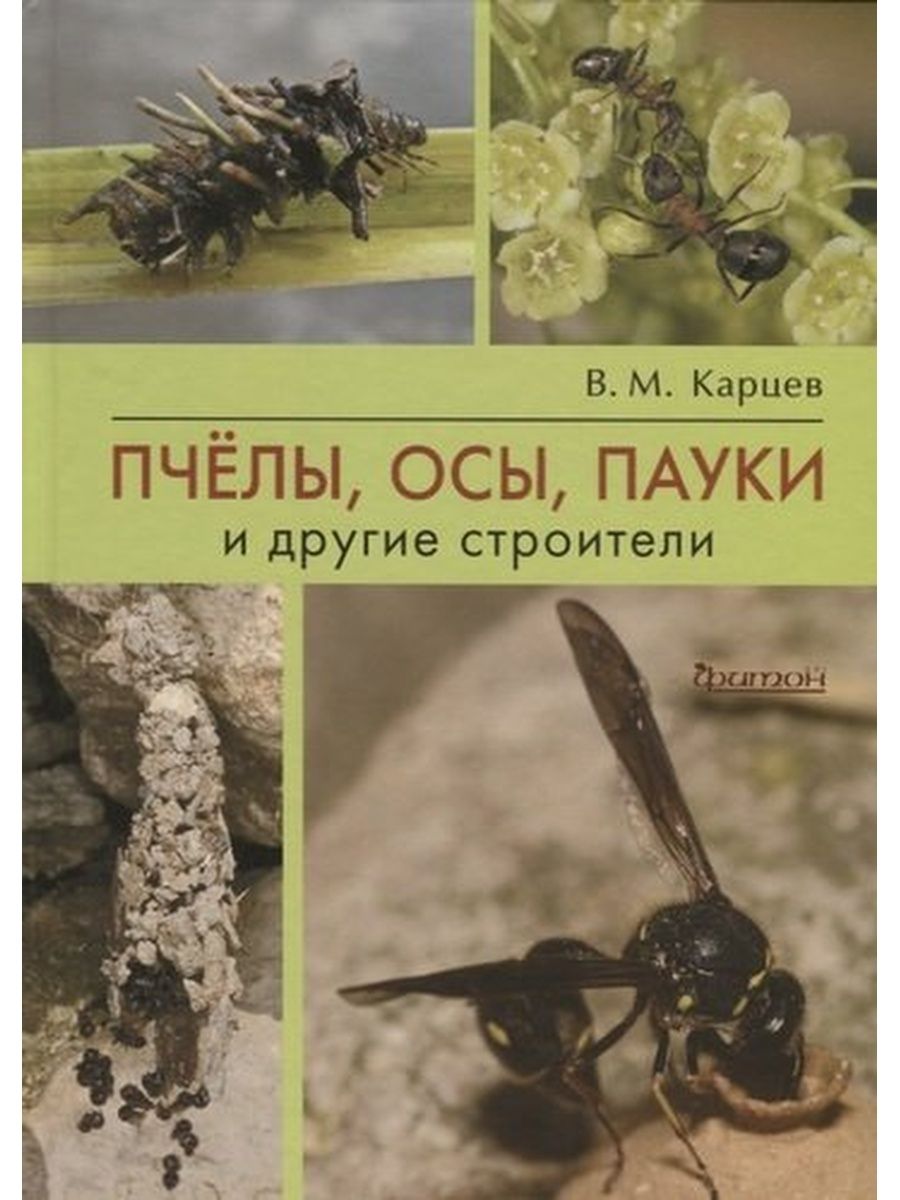 Карцев В. / Пчёлы, осы, пауки и другие строители | Карцев Владимир  Михайлович - купить с доставкой по выгодным ценам в интернет-магазине OZON  (690276248)