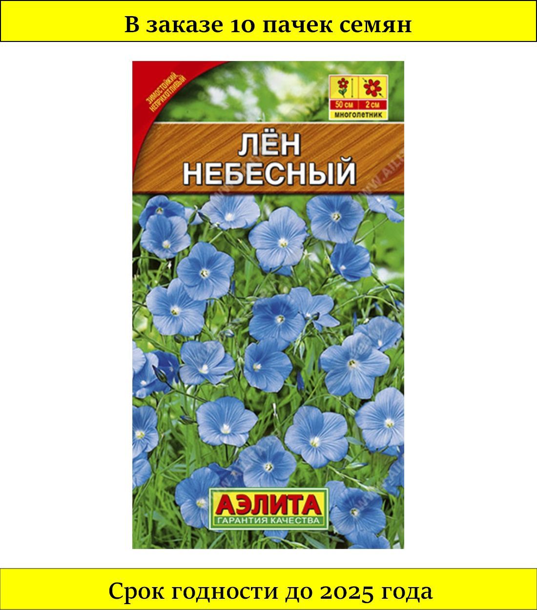 Лен Многолетний Небесный Фото