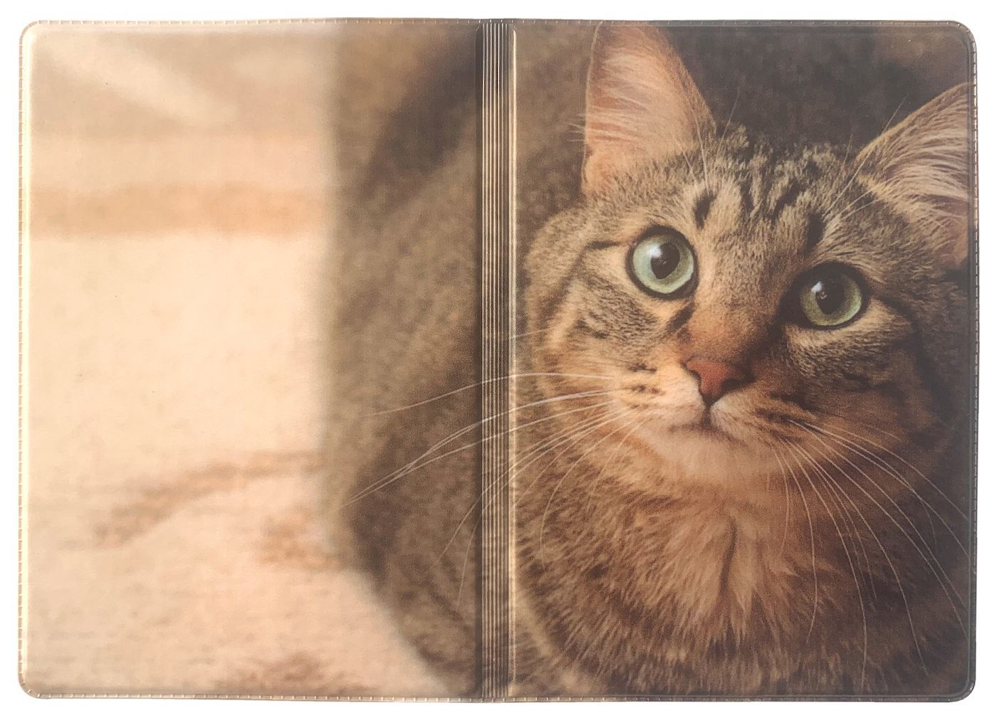 Обложка для паспорта и путешествий ПВХ, Кошка, Delugo