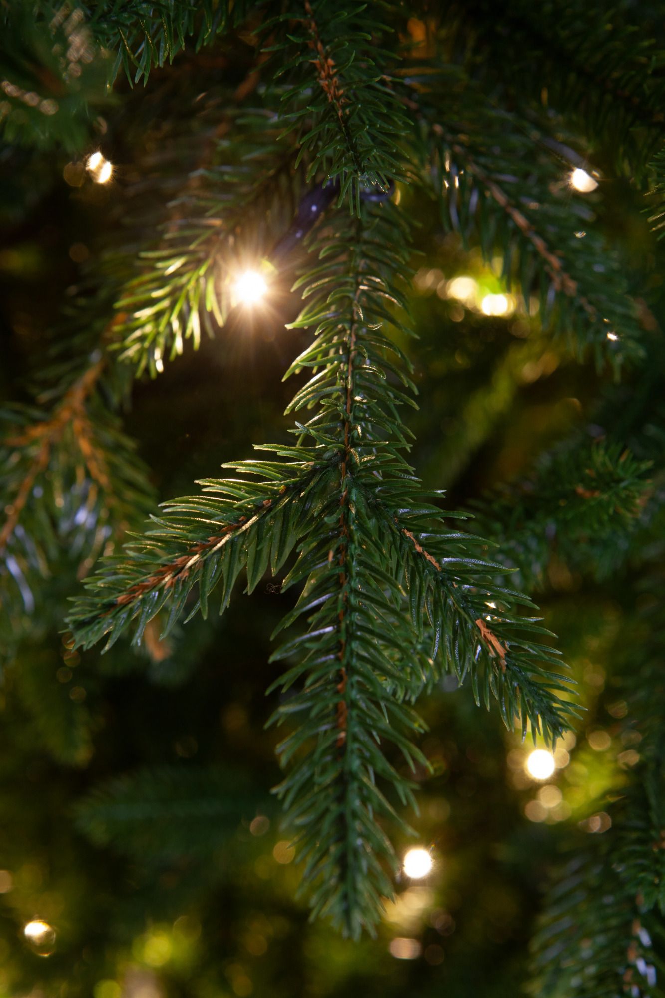 Crystal Trees Персея. Ель Персея. Искусственная елка Crystal Trees Персея в снегу с вплетенной гирляндой 215 см. Искусственная ель с гирляндами невысокая.