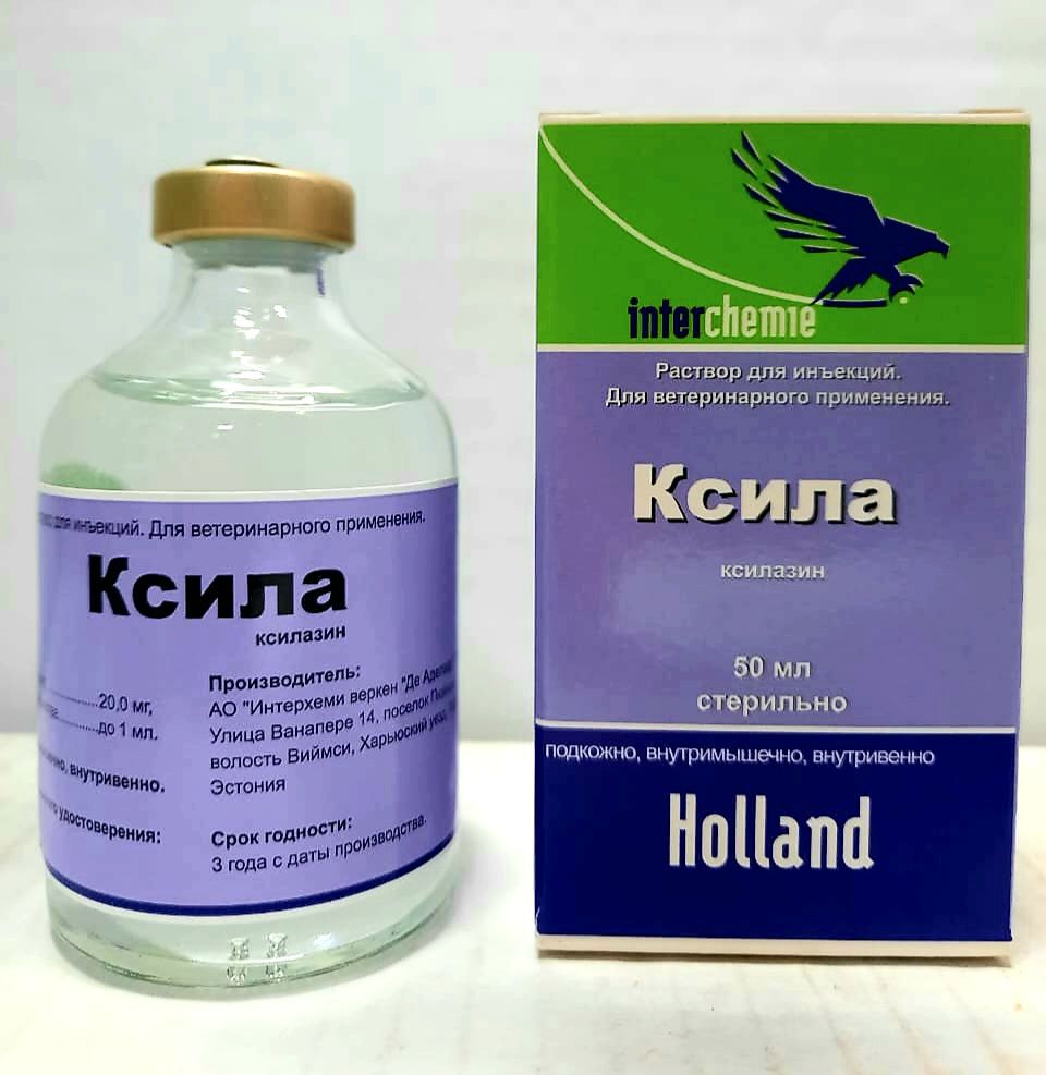 Ксиланит для собак. Ксила Interchemie. Ксила аналоги. Ксиланит 50мл.