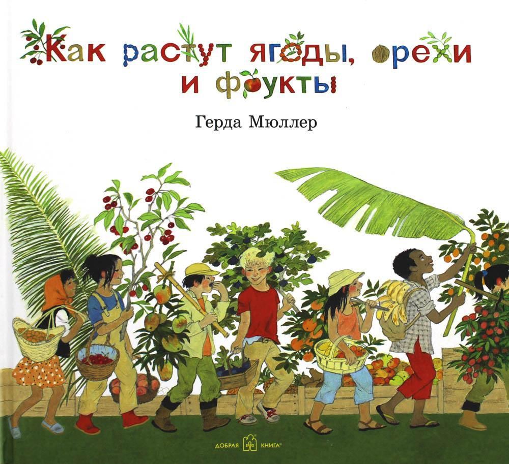 Как растут ягоды, орехи и фрукты? | Мюллер Герда - купить с доставкой по  выгодным ценам в интернет-магазине OZON (723213681)