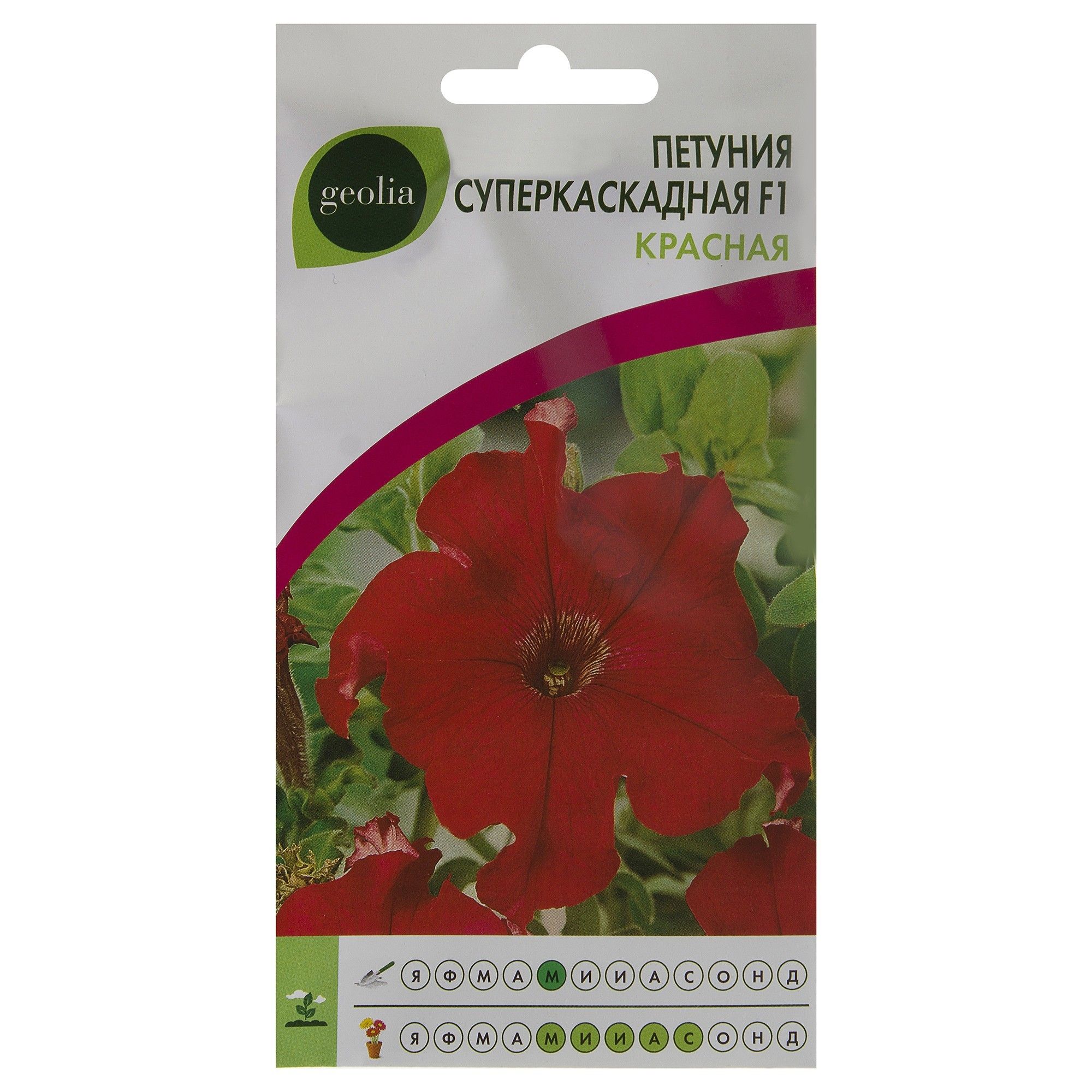 Петуния суперкаскадная. Петуния суперкаскадная. Петуния суперкаскад бургунди. Петуния суперкаскадная синяя f1. Петуния грандифлора суперкаскадная пинк.