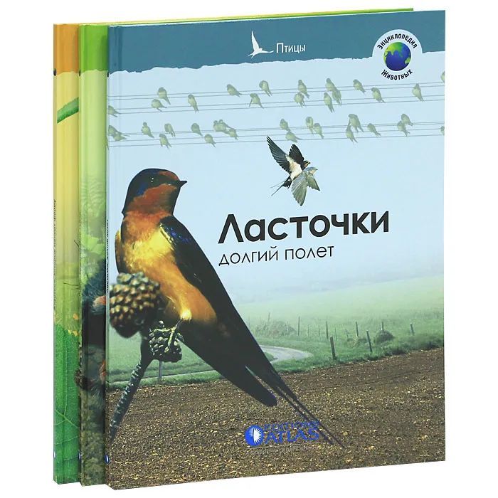 О чем молчит ласточка страницы. Книга Ласточка. Книжки о Ласточках. Полёт ласточки книга. Обложка Ласточка книга.