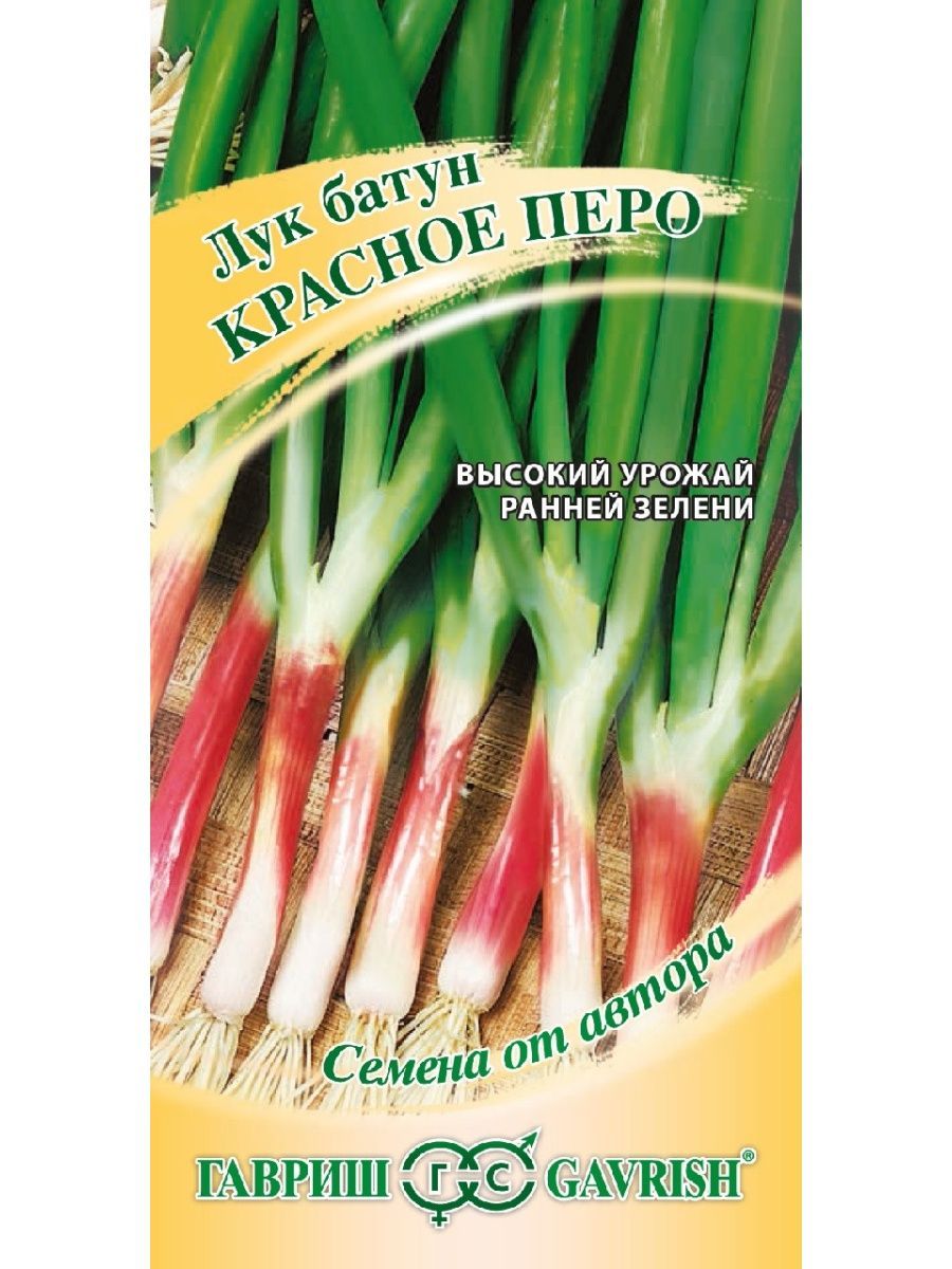 Купить Лук Перо В Екатеринбурге