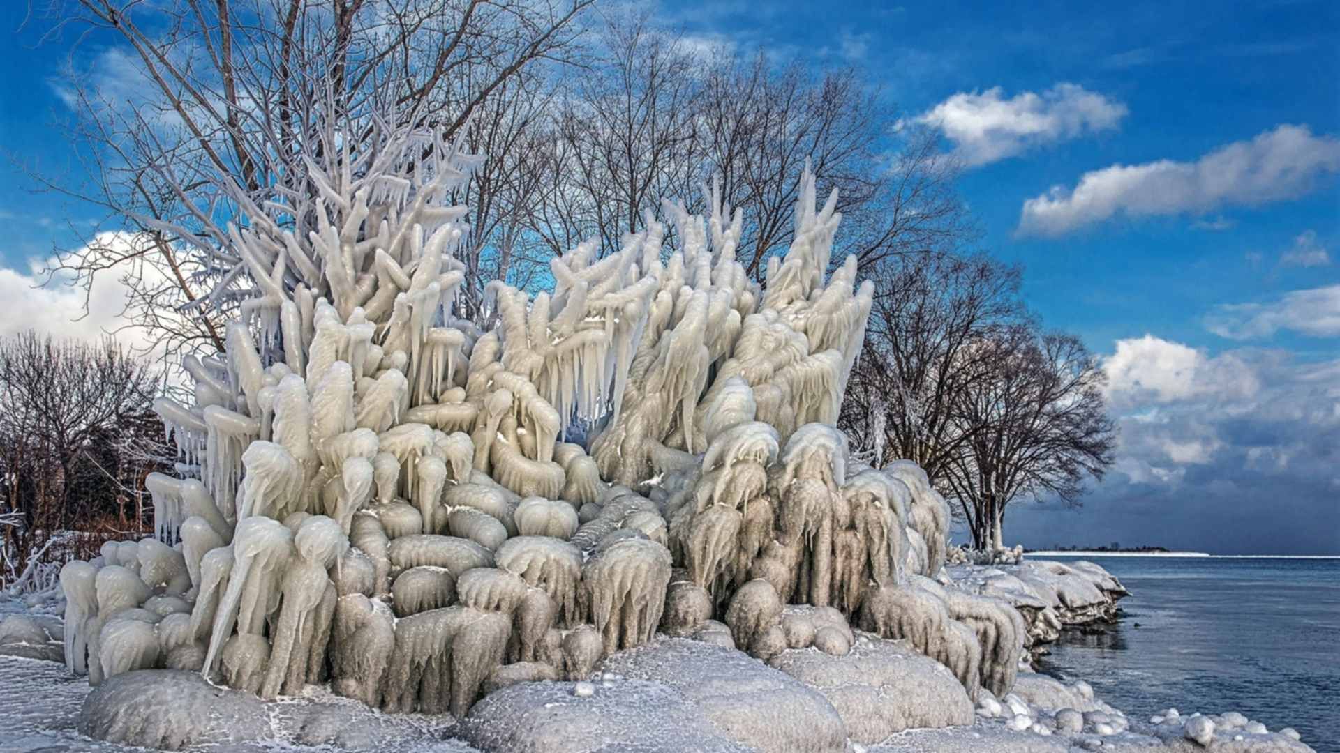 Сосульки на деревьях. Зима дерево море. Сосульки на дер. Сосульки на деревьях зимой.