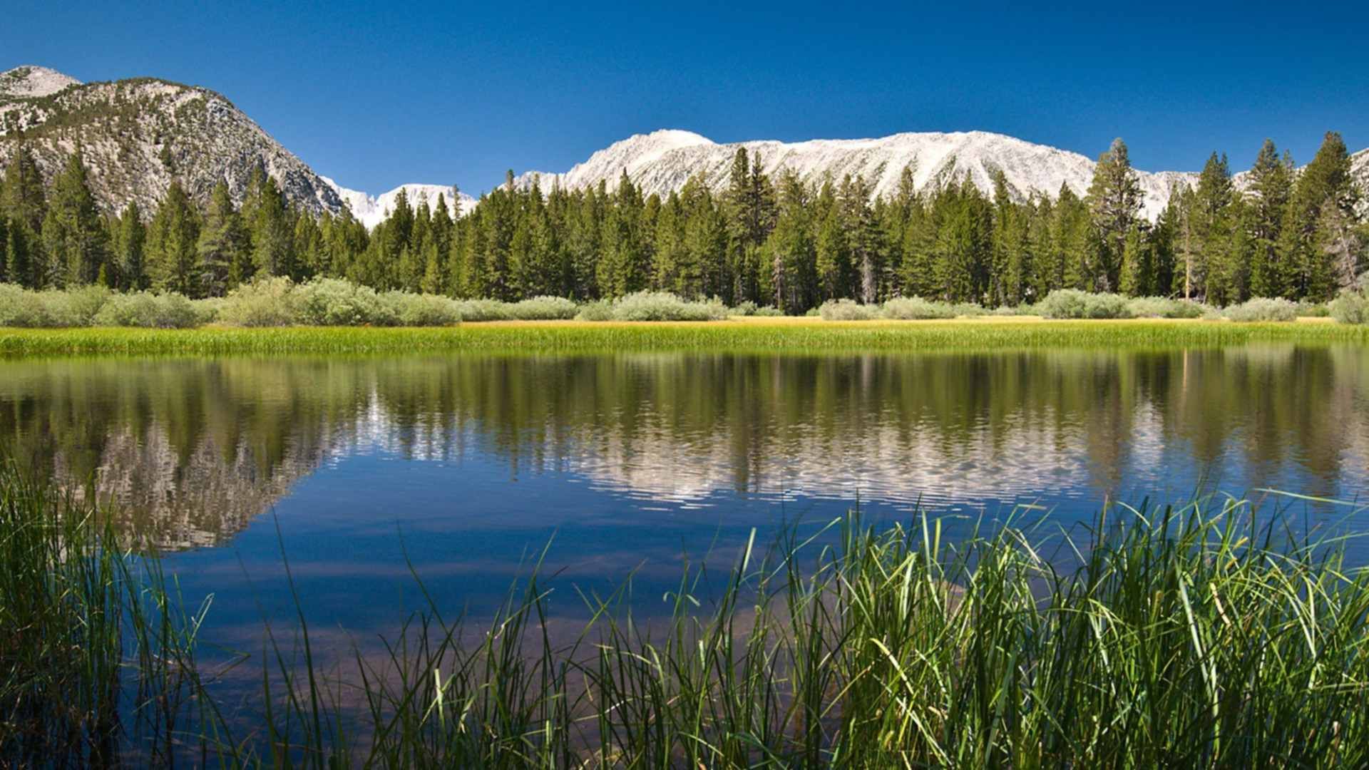 купить фотографии большого размера