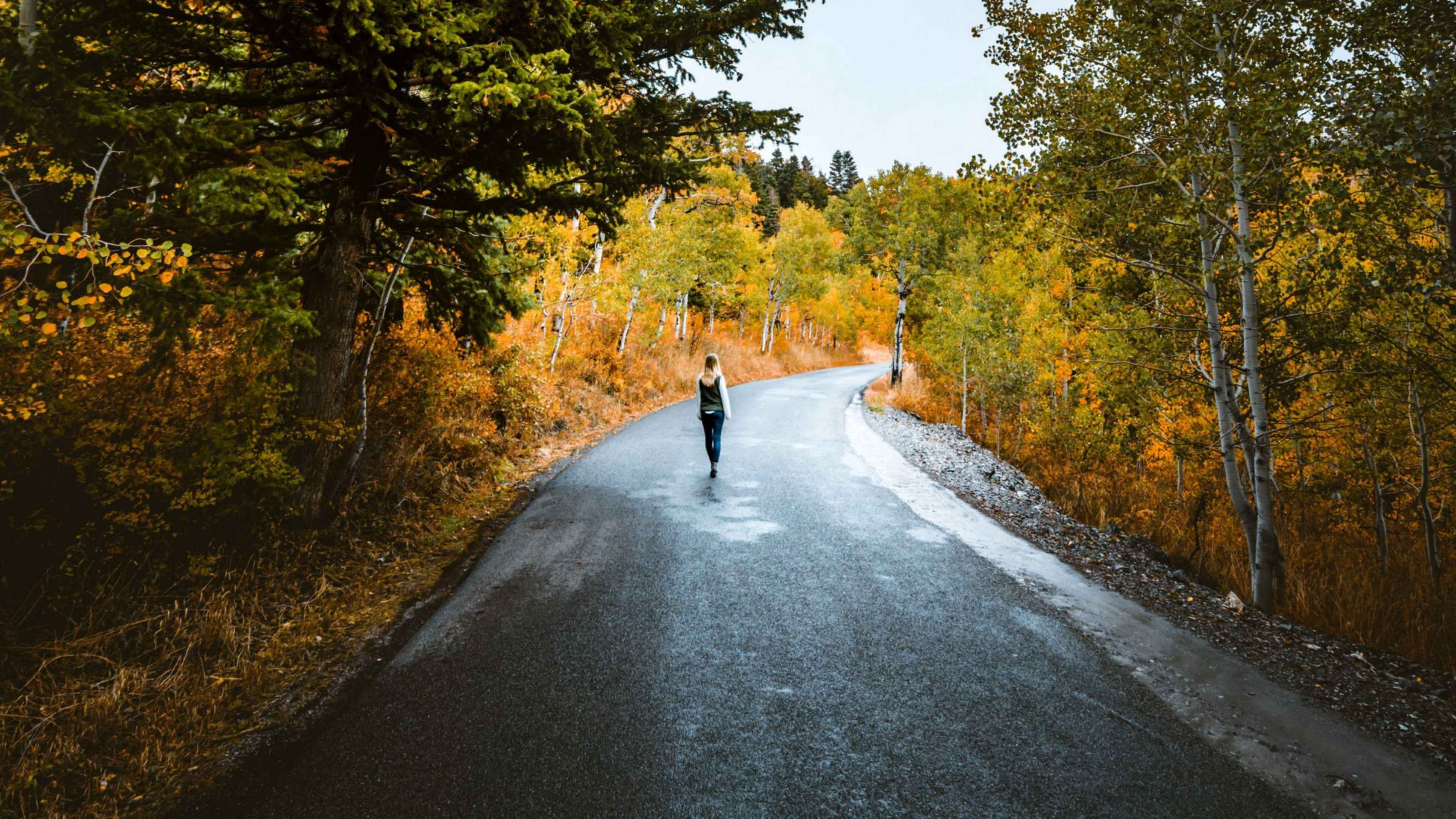 Walk wallpaper. Осенняя дорога вдаль. Дорога в лесу. Дорога на фоне леса. Осенняя дорога прямая.