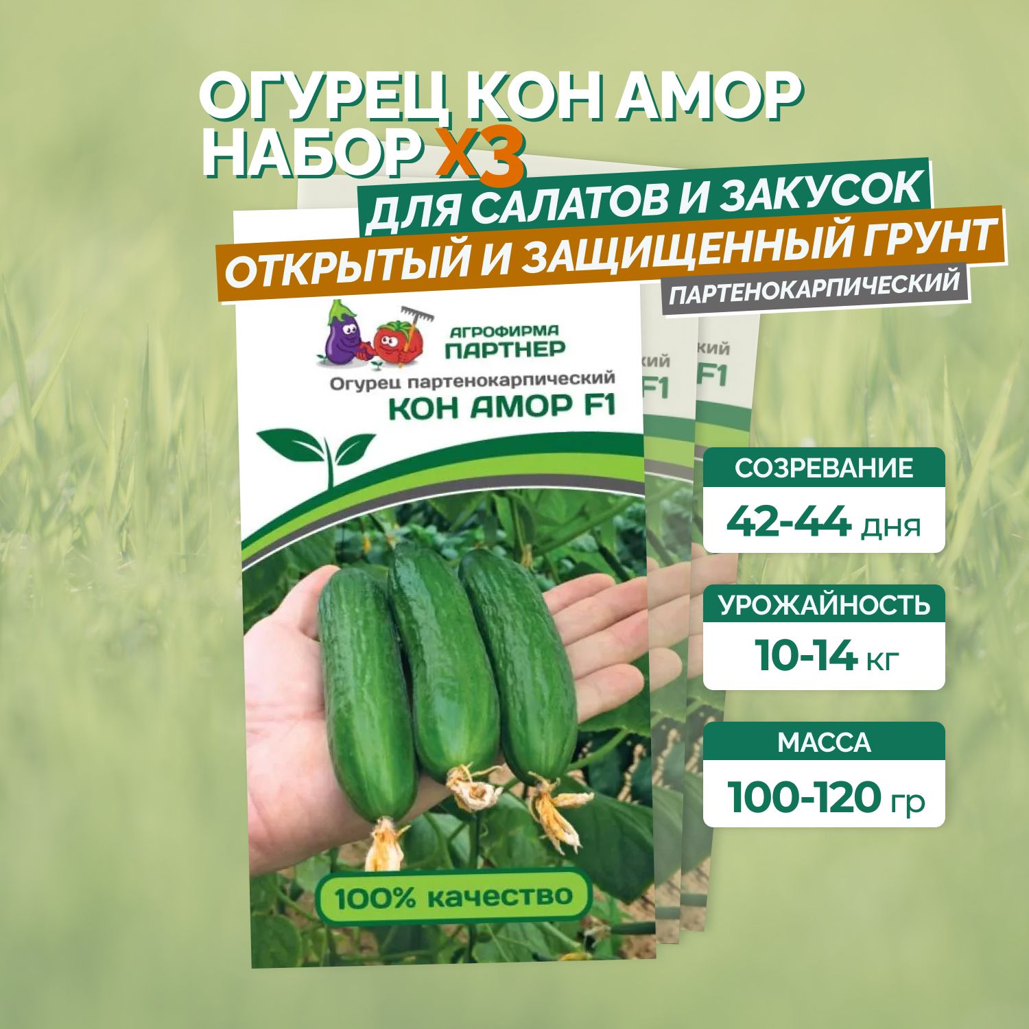 Купить Семена Огурца Кономор