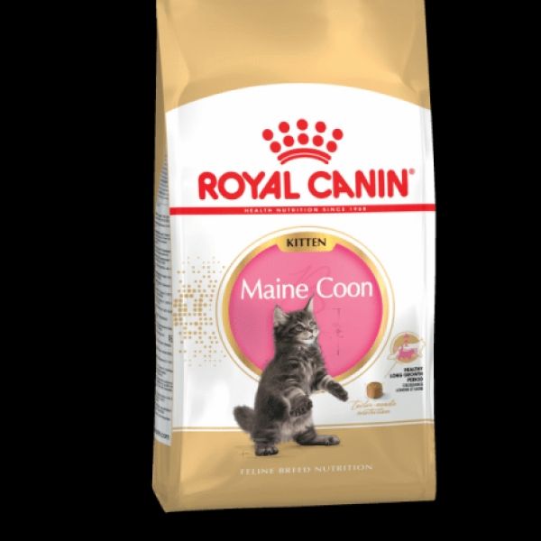Royal Canin Maine Coon 2 Кг Купить