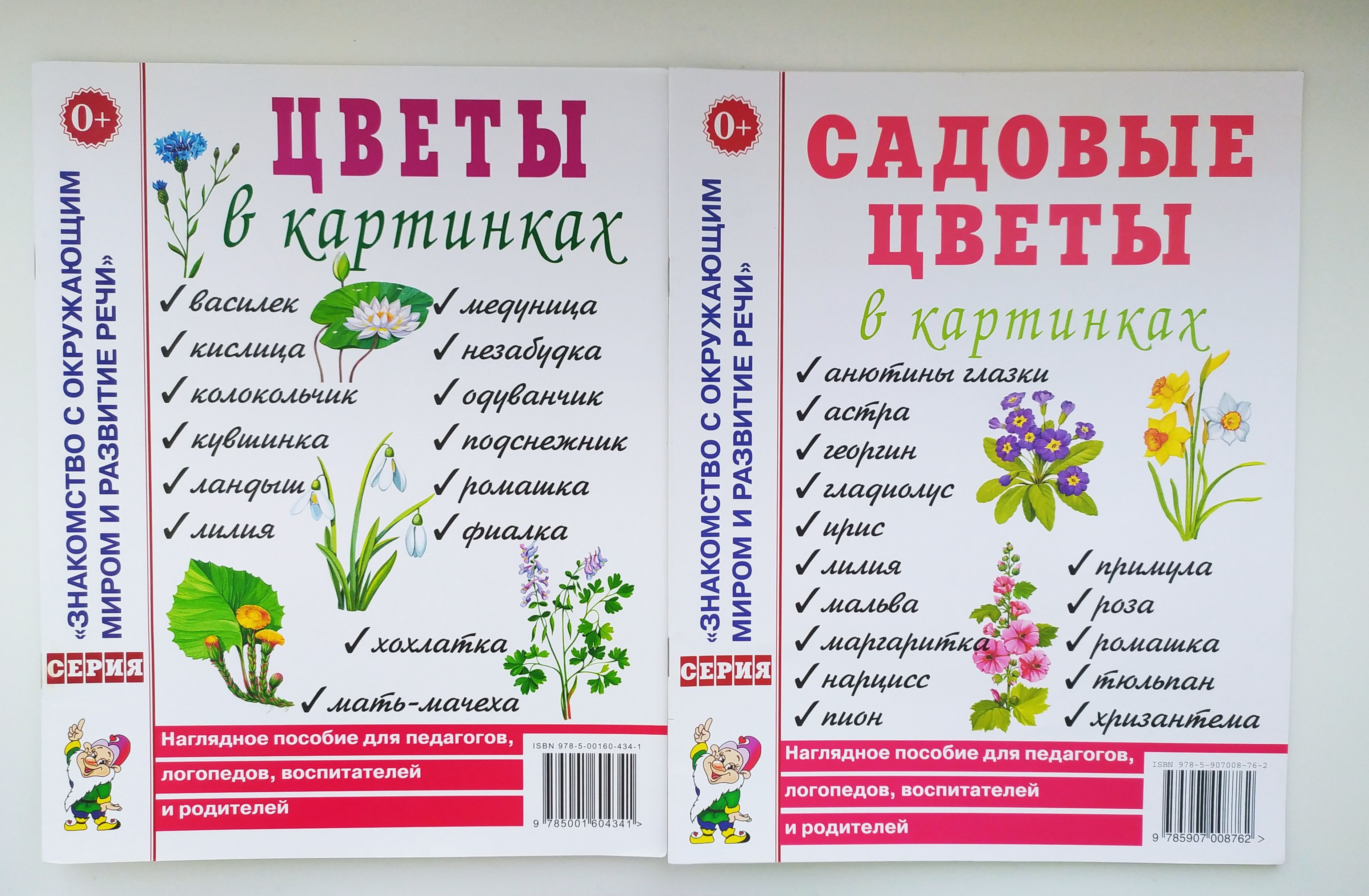 Лето в картинках наглядное пособие для педагогов логопедов воспитателей и родителей