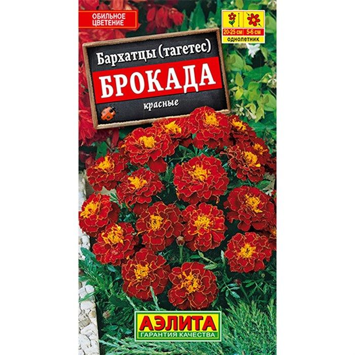Бархатцы аура красная фото и описание Бархатцы Аэлита Бархатцы_1_бордовый_желтый - купить по выгодным ценам в интернет