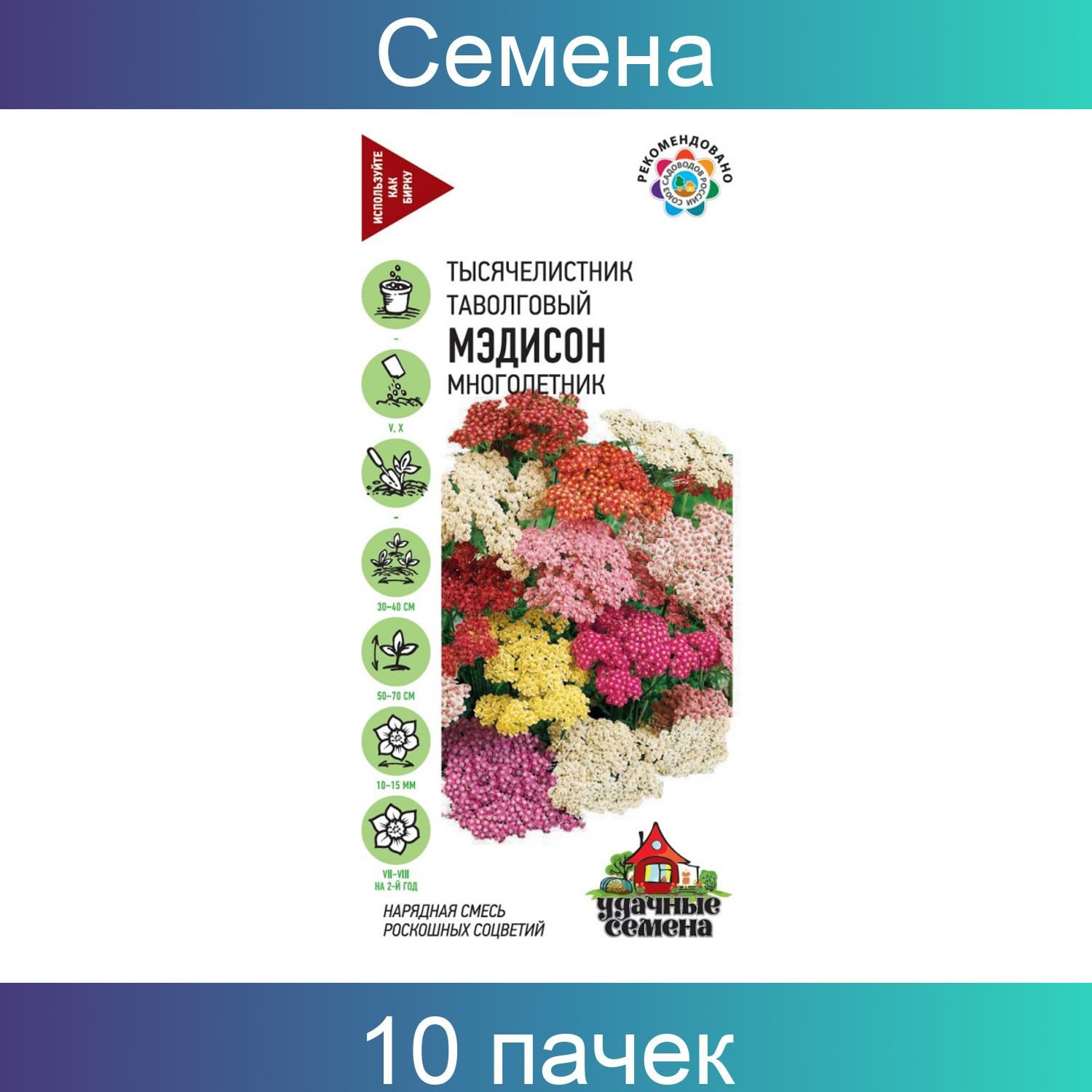 Семена тысячелистник Мэдисон, смесь 0,1 г Гавриш