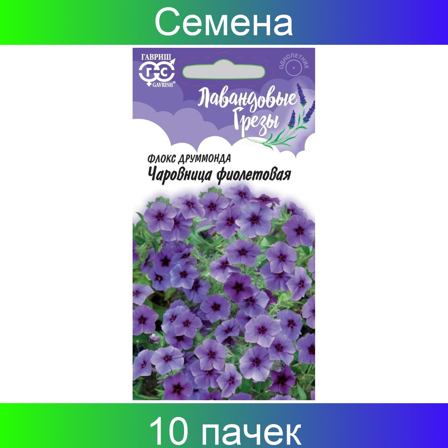 Флоксы Однолетние Купить Семена