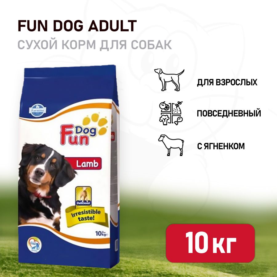 Farmina Fun Dog Lamb сухой корм для взрослых собак с ягненком - 10 кг -  купить с доставкой по выгодным ценам в интернет-магазине OZON (351107784)