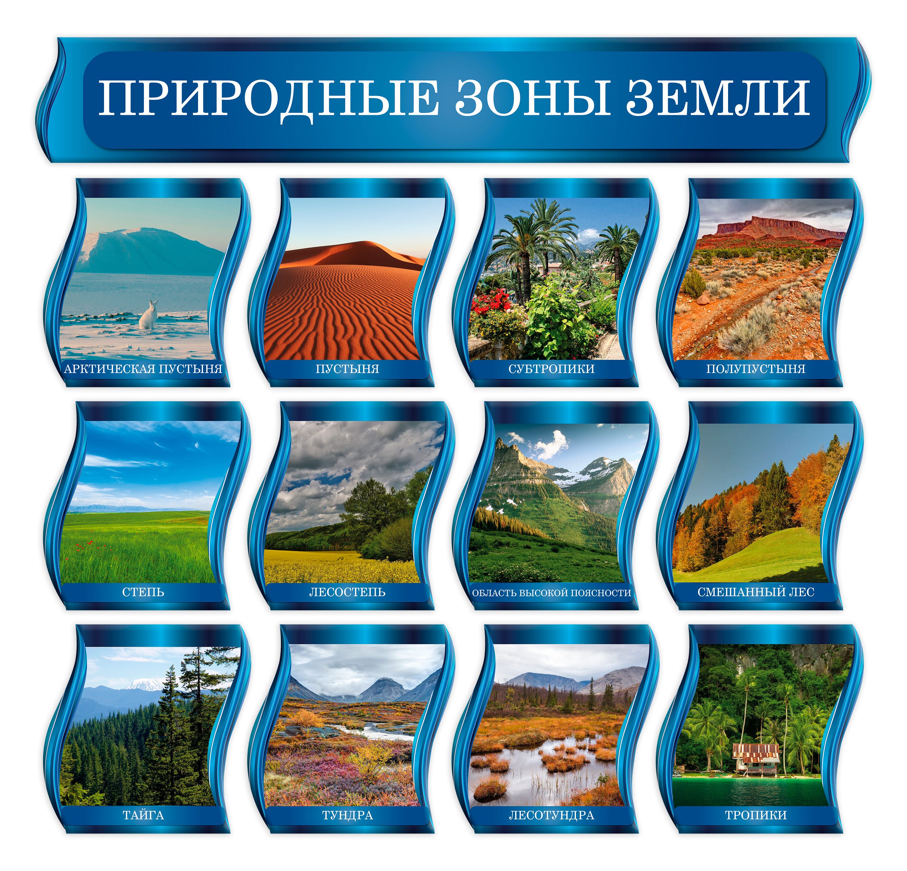 Природные зоны земли плакат. География стенд. Стенд природные зоны. Стенды география для школы. Материалы для стенда по географии.