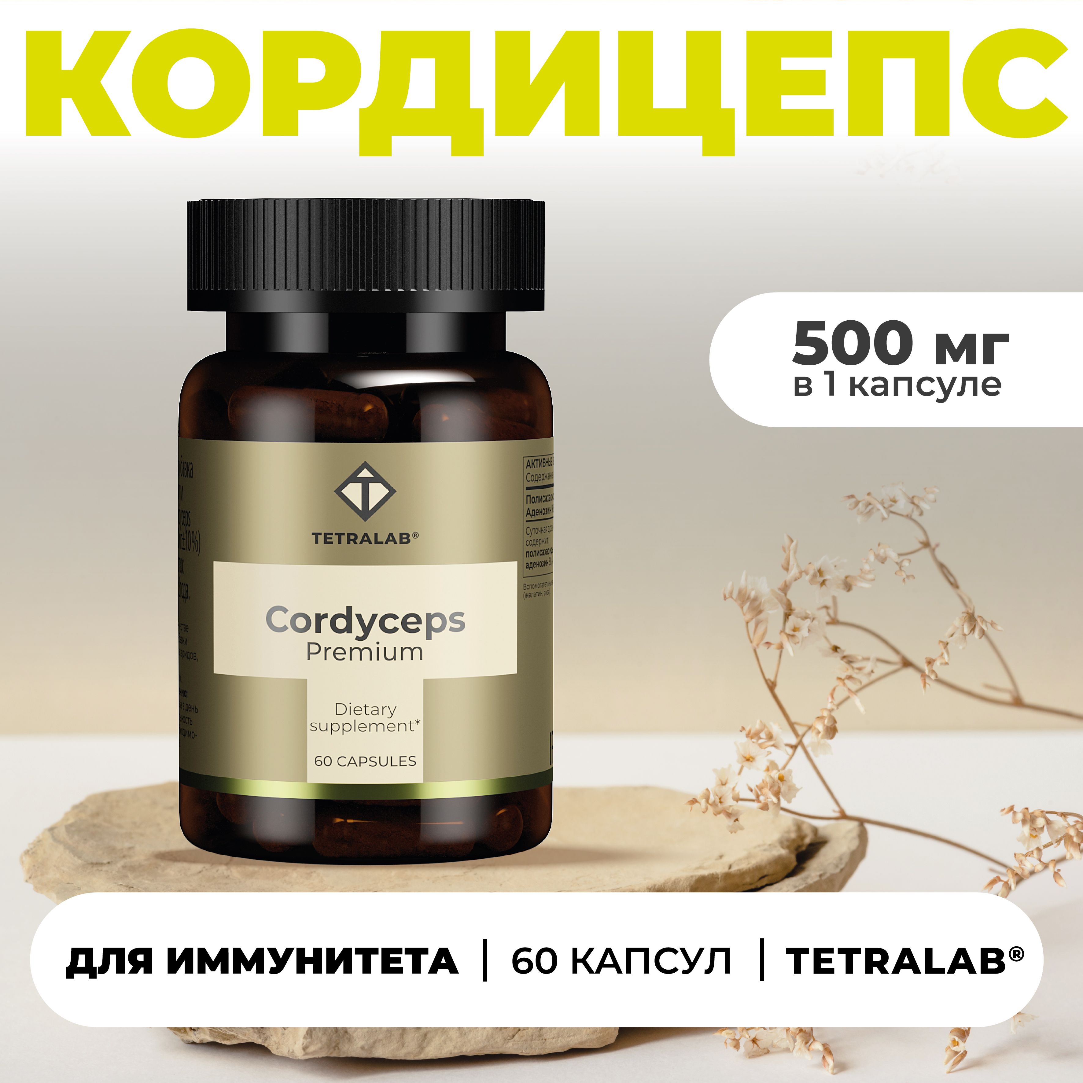 Cordyceps капсулы отзывы