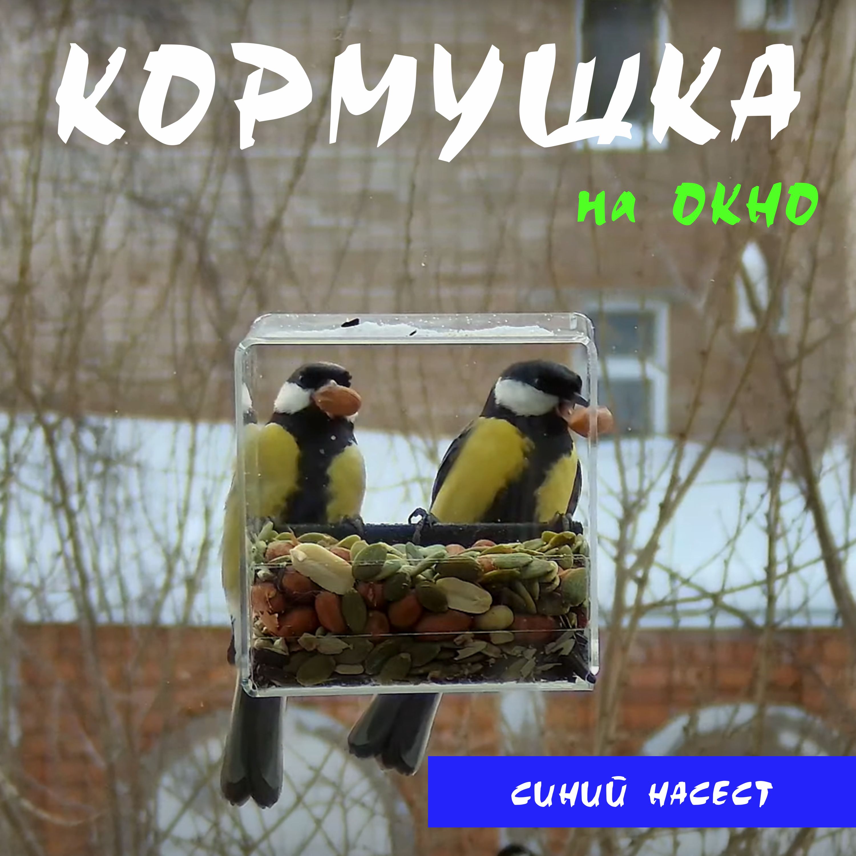 кормушка для птиц - самый большой выбор товаров для домашних любимцев по всей Украине