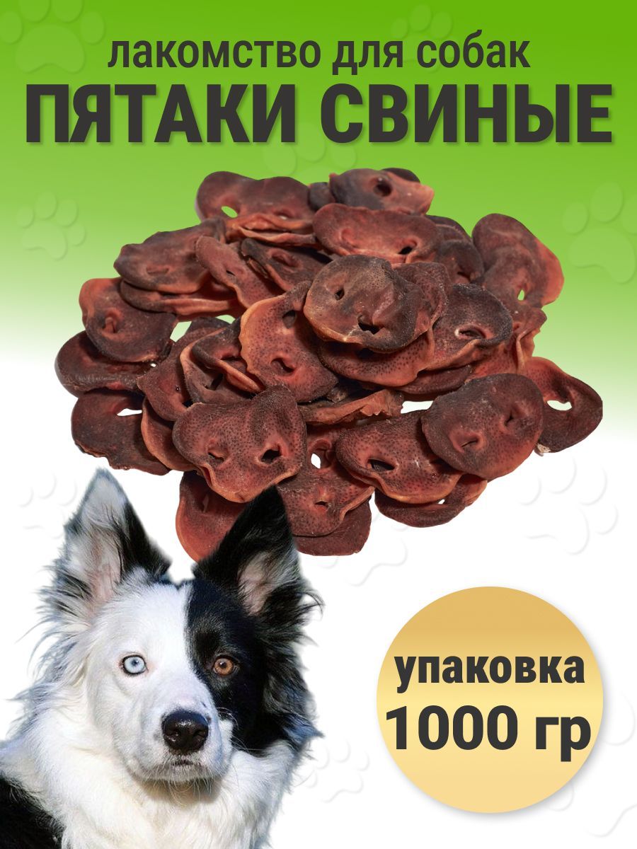 Свиные пятачки для собак. Свиные пятачки для собак
