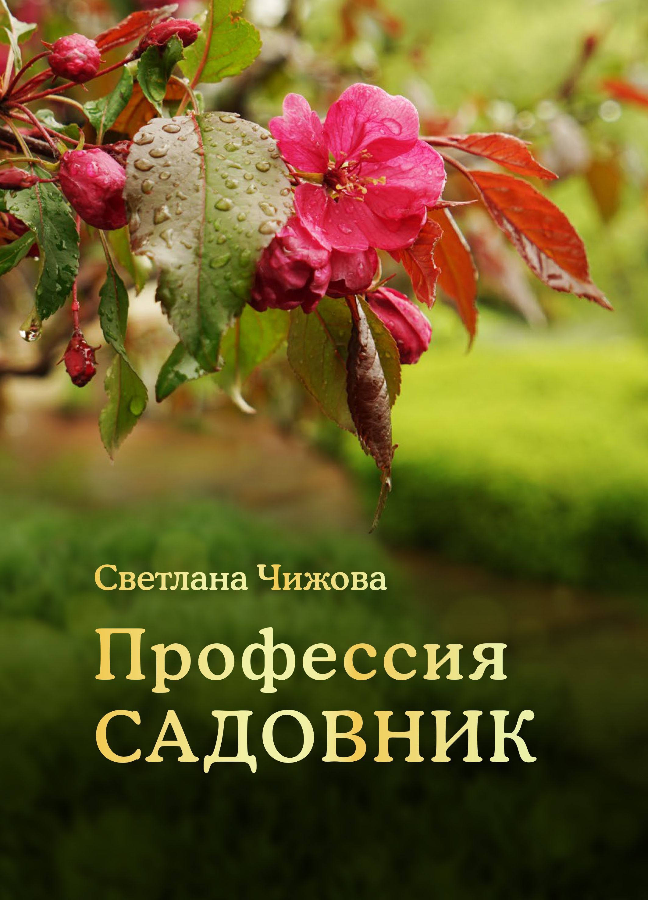 Профессия САДОВНИК