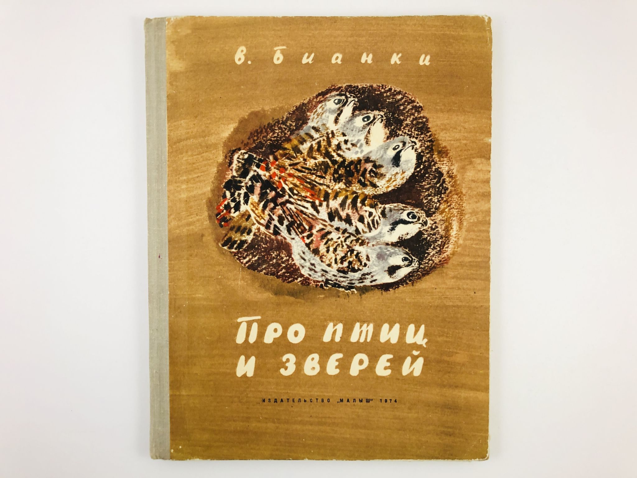 Бианки о птицах. Книги бианки про животных и птиц. иллюстрации лебеди на пруду. бианки юбилей 2025. ночной зверь бианки картинки.