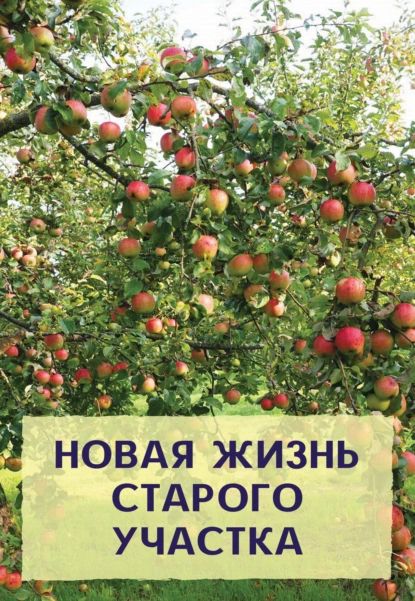 Новая жизнь старого участка | Хромов Николай Владимирович | Электронная книга