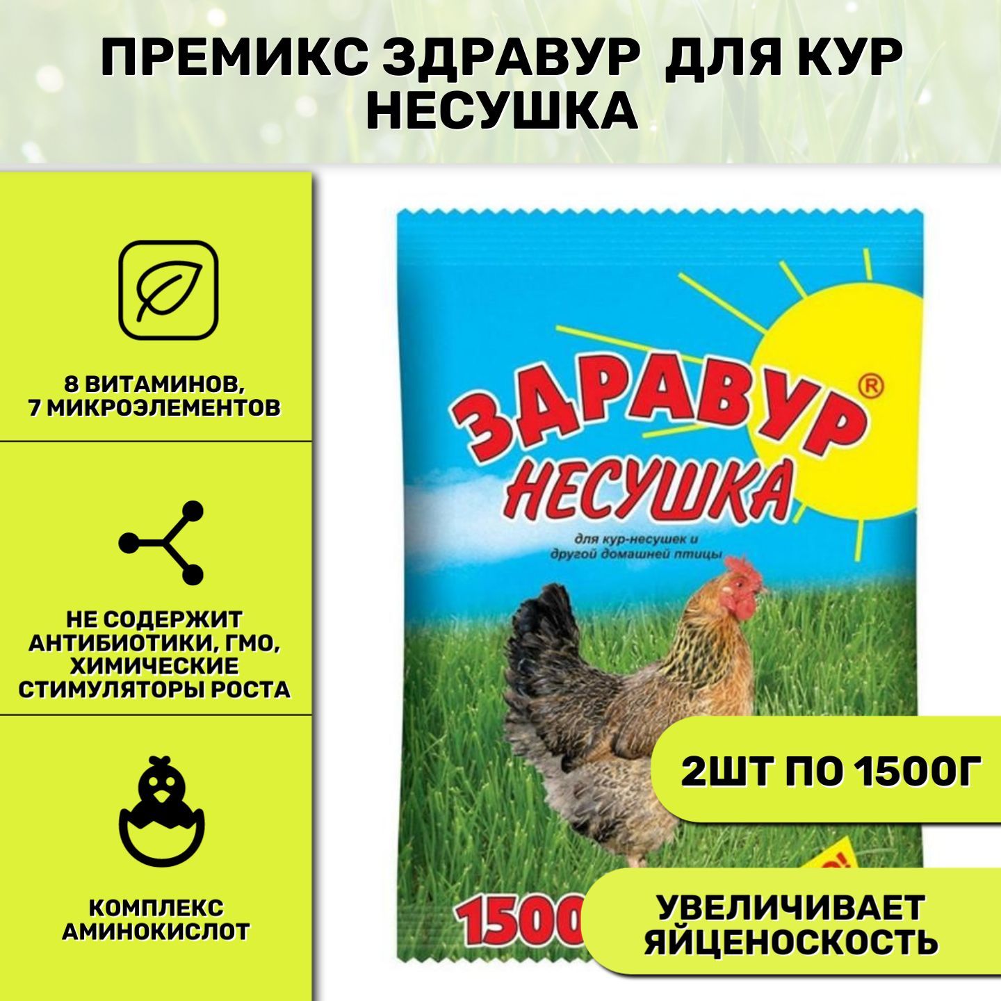 Курицы твоего города. Здравур Несушка. Здравур для кур отзывы. Здравур для кур несушек состав