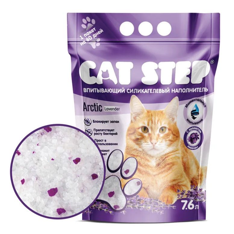 Cat step Cat step