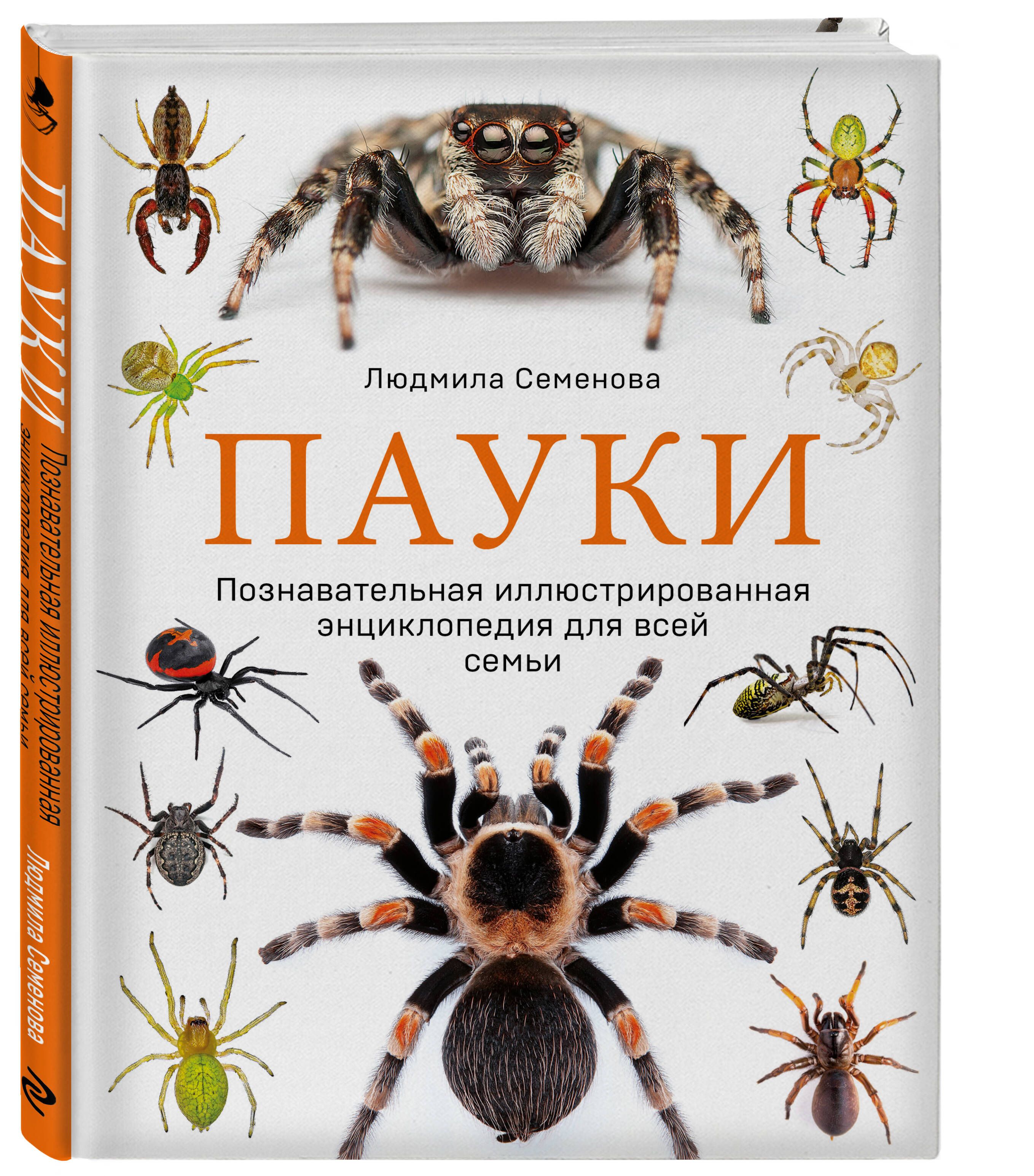 Пауки. Познавательная иллюстрированная энциклопедия для всей семьи |  Семенова Людмила Семеновна - купить с доставкой по выгодным ценам в  интернет-магазине OZON (755517678)