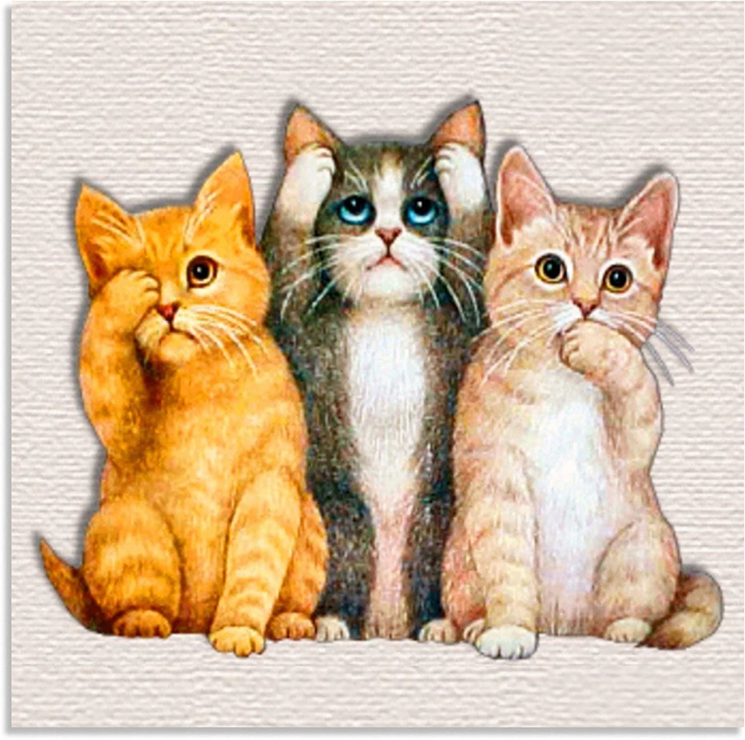 Три киса. Три котенка. 3 Кошки. Кошка с котятами. Изображение кота.