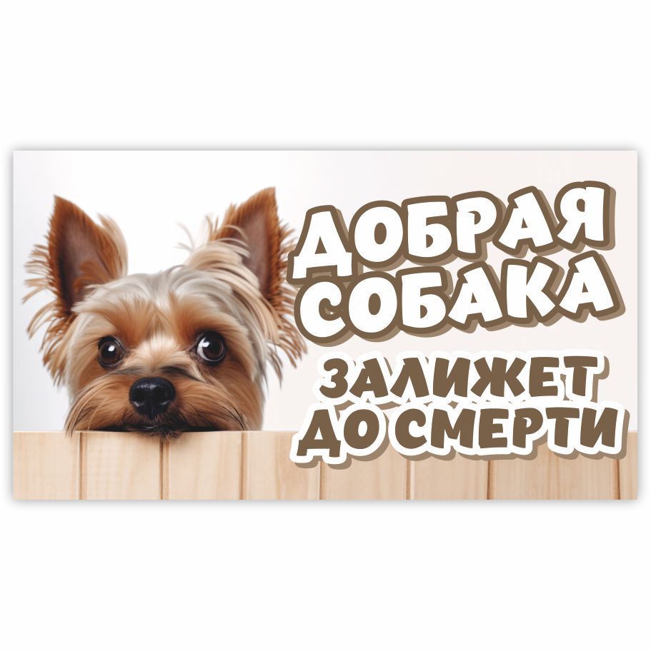 Табличка, с юмором, прикол, DANGER DOG, Добрая собака, 25x14 см, 25 см, 14  см - купить в интернет-магазине OZON по выгодной цене (994304804)