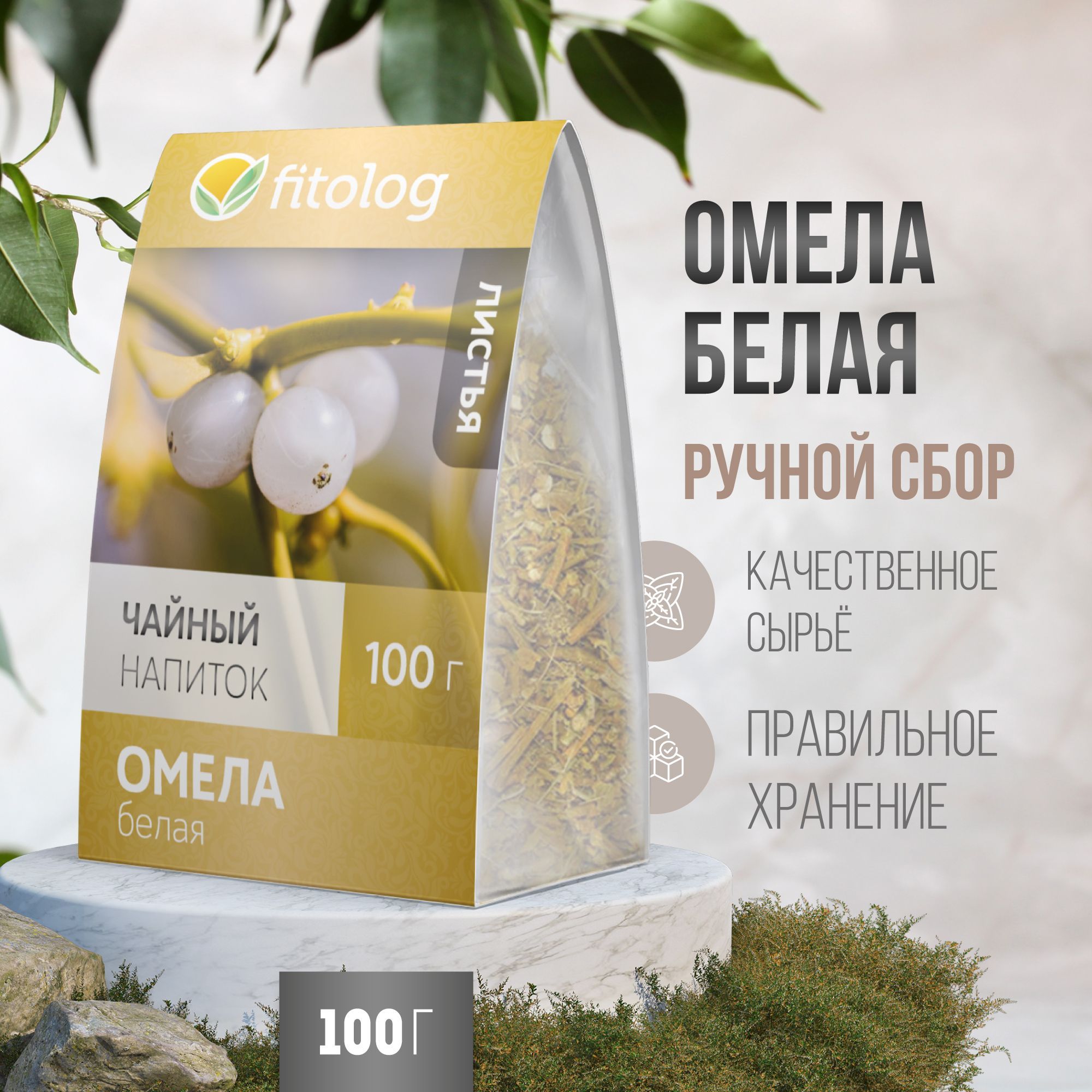 Омела белая 100 г / Листья - купить с доставкой по выгодным ценам в  интернет-магазине OZON (1023248647)