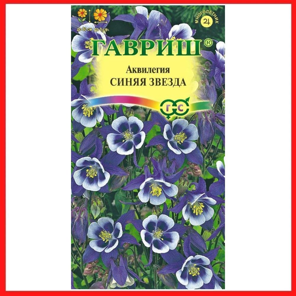 Аквилегия Купить