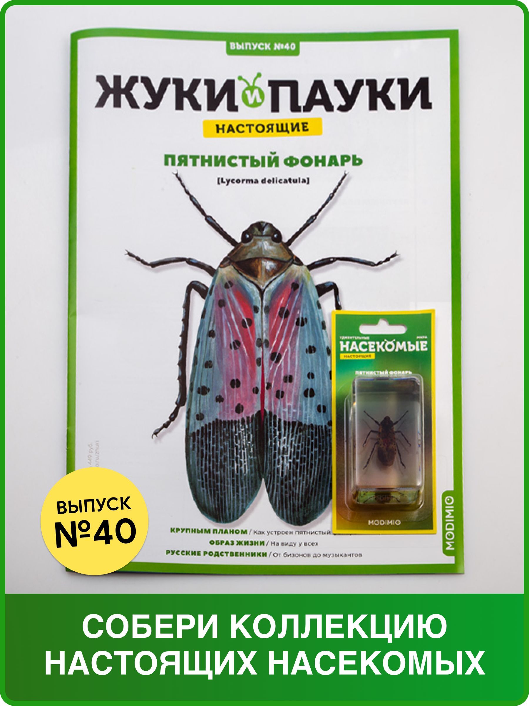 Жуки и пауки, Выпуск №40, Пятнистый фонарь - купить с доставкой по выгодным  ценам в интернет-магазине OZON (616705439)