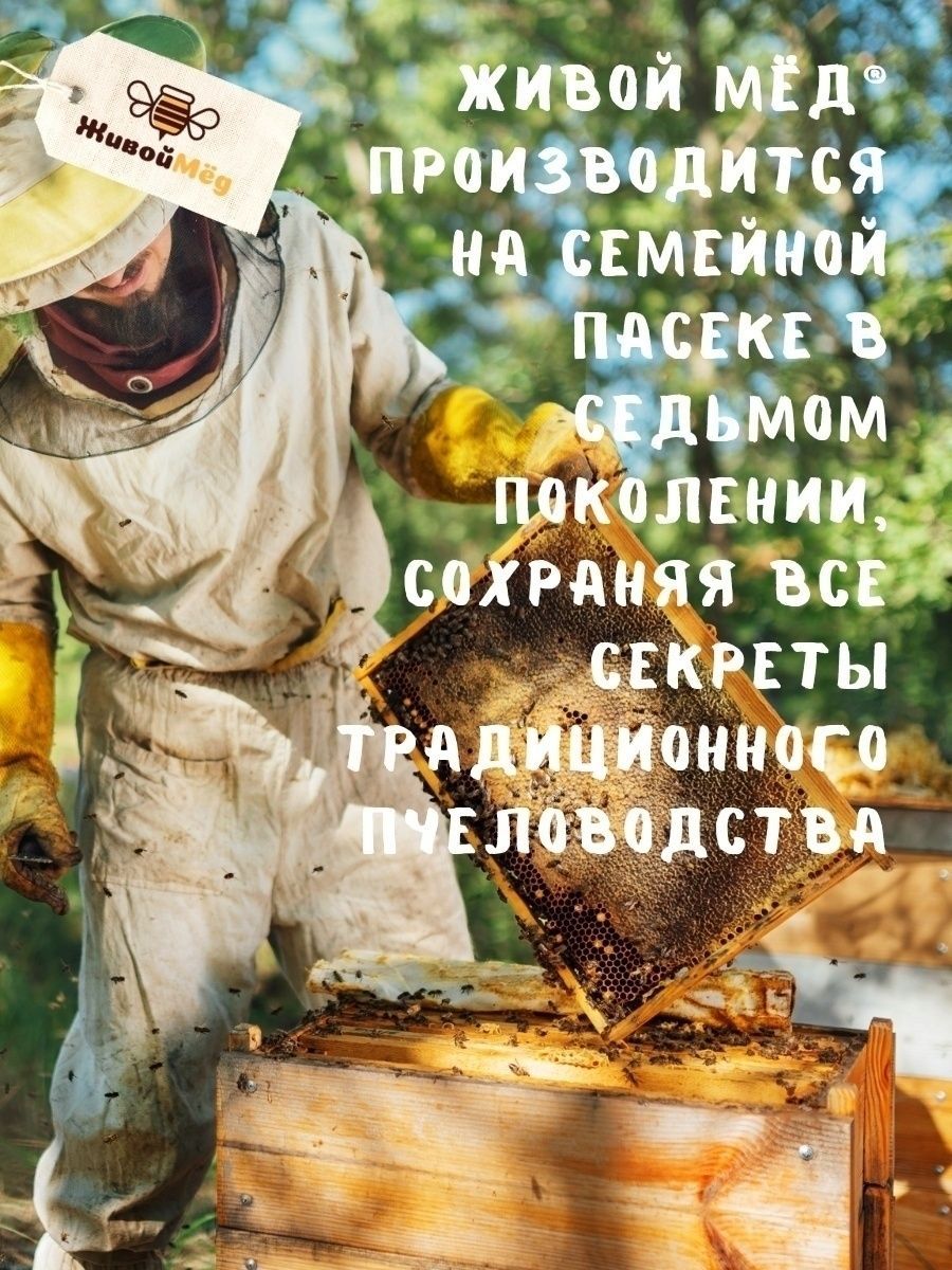 Мёд майский полифлорный «Первоцвет», 480 г