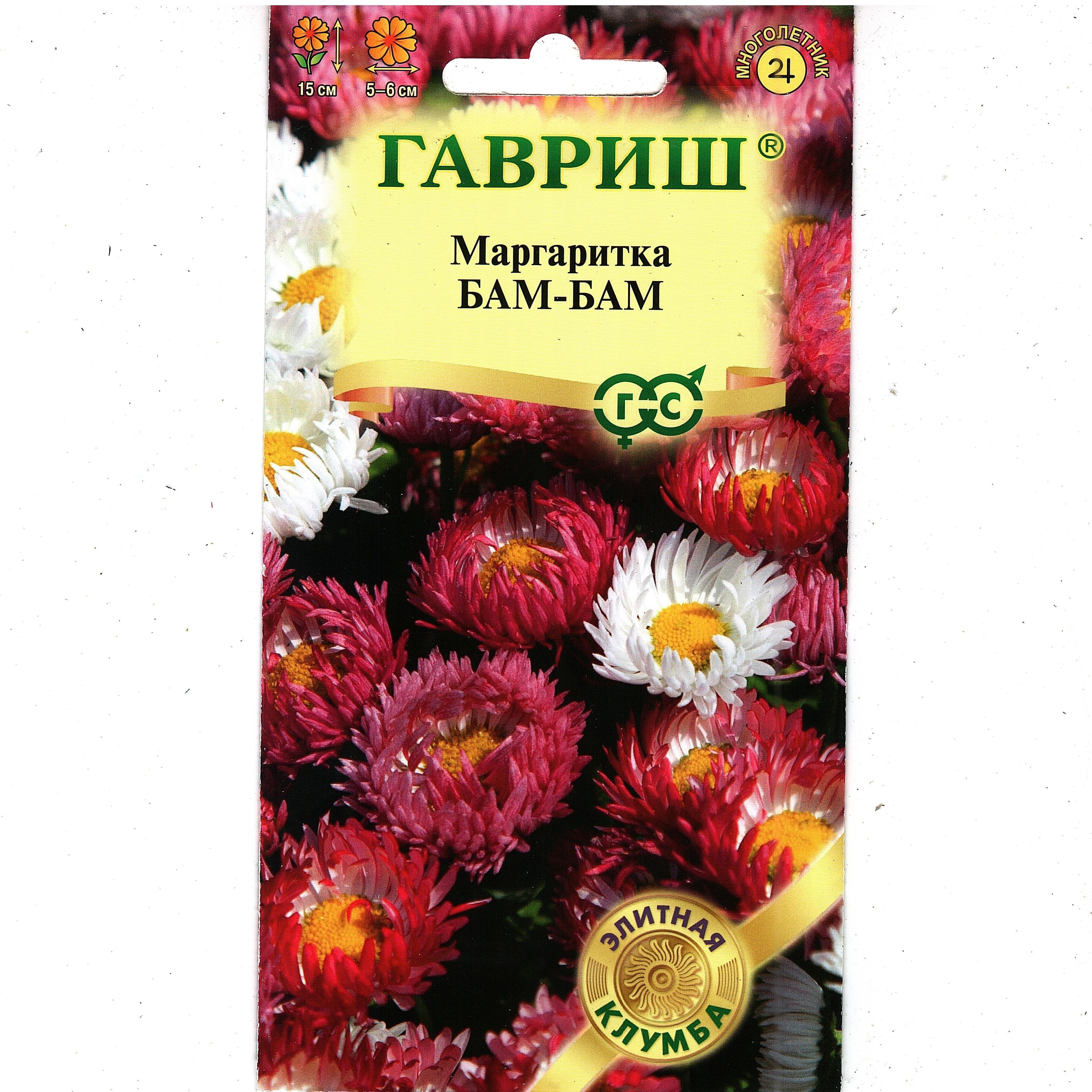 Маргаритки Семена Купить