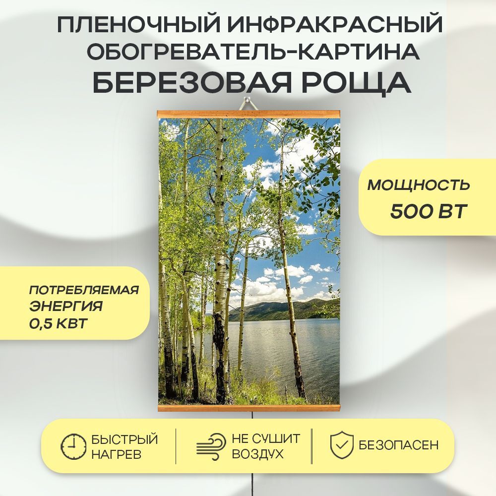 Обогреватель Домашний очаг Настенный инфрокрасный пленочный._Березовая  роща_38651 купить по выгодной цене в интернет-магазине OZON (163966126)