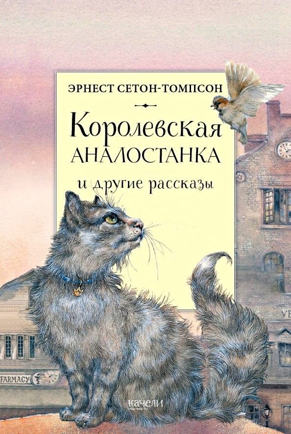 Королевская аналостанка рисунок