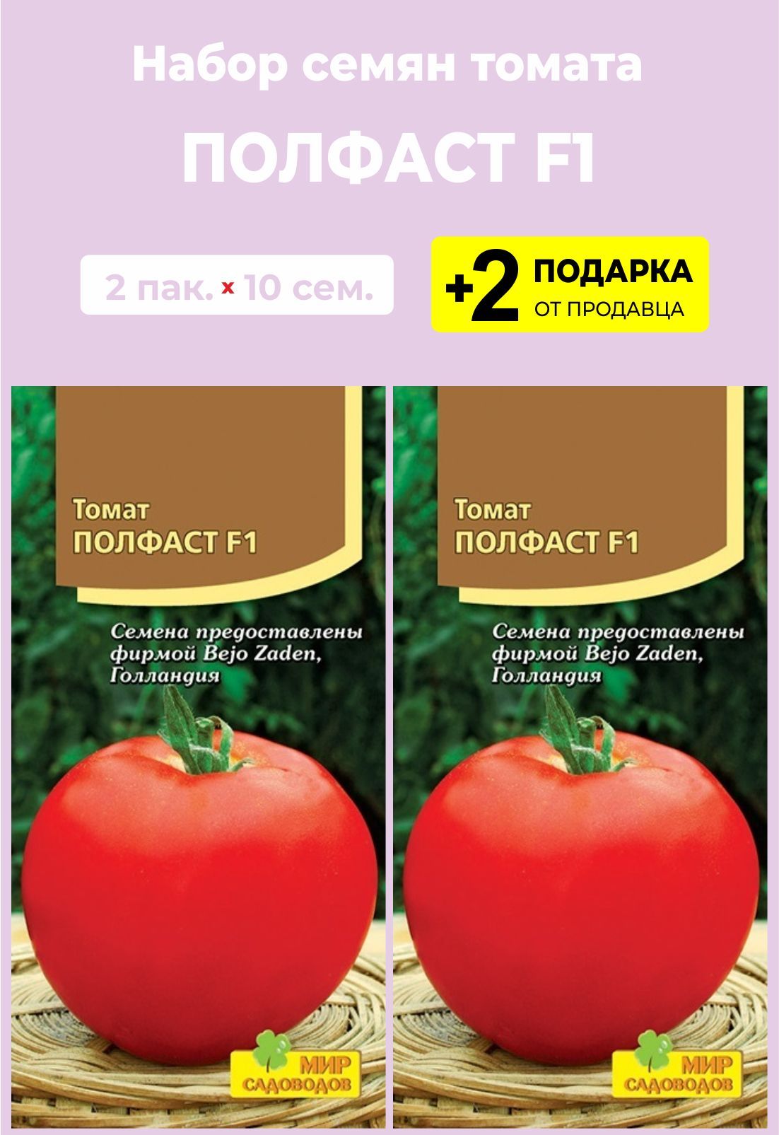 Томат полфаст отзывы фото. Томат Полфаст мир садоводов. Томат Анюта f1. Партнер томат яшма f1. Вендетта томат высота куста.