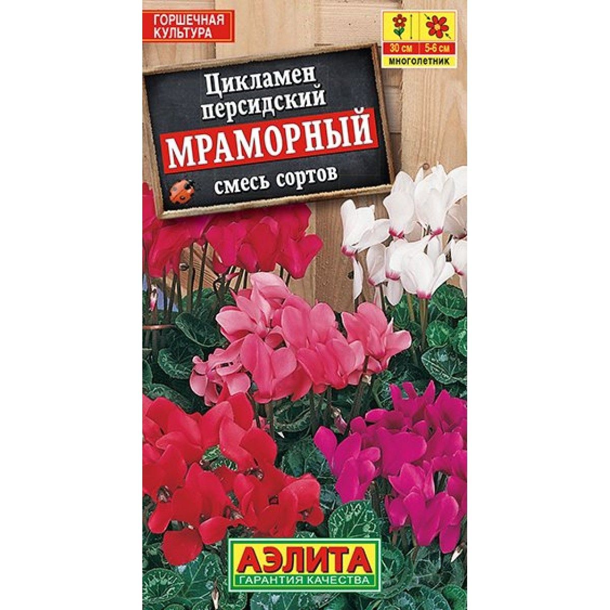 Купить Семена Цикламена Недорого