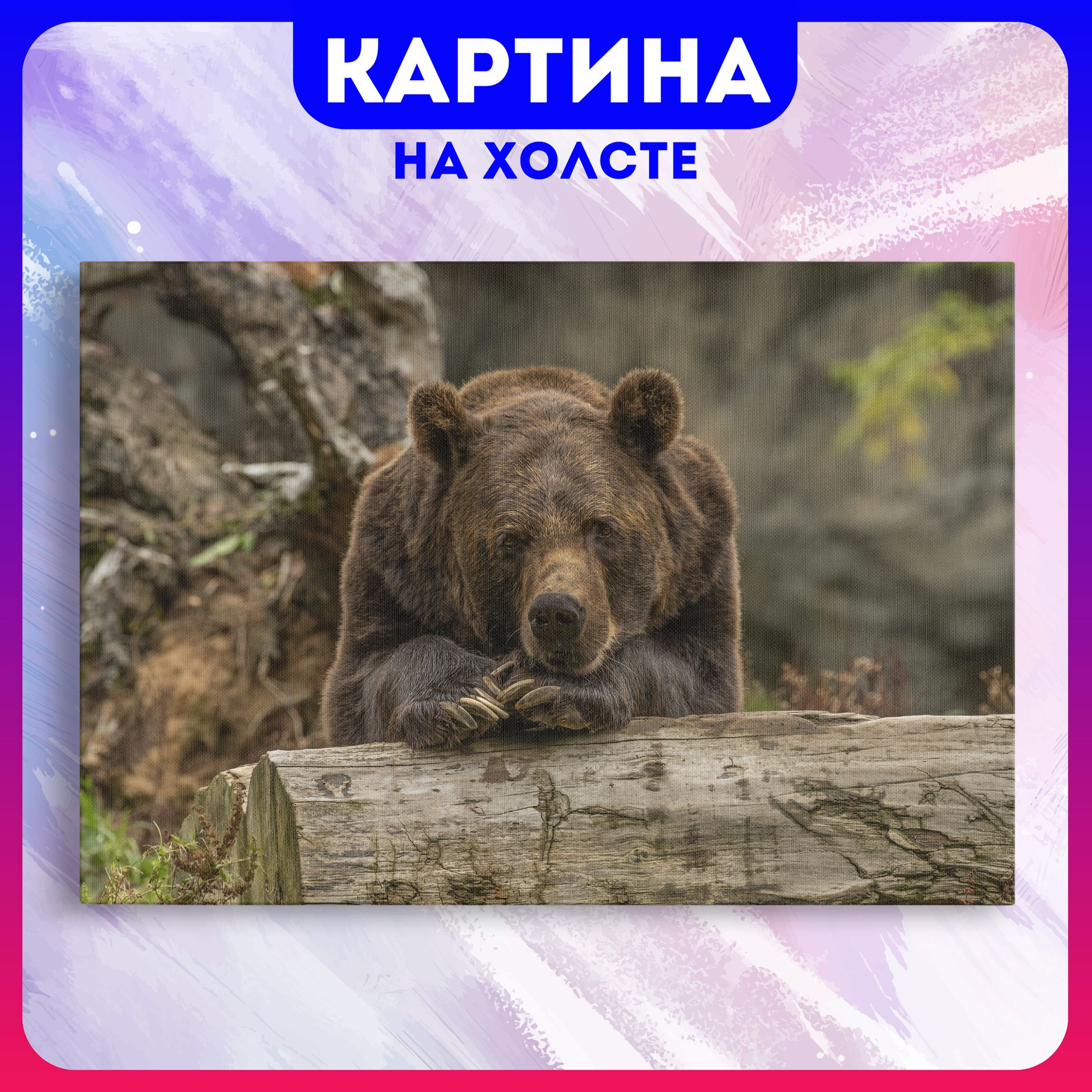 Картина на холсте медведь животные природа (3) 40х60 см - купить по низкой  цене в интернет-магазине OZON (1179393625)