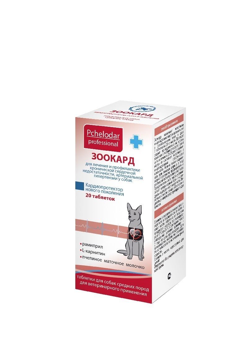 Пчелодар: Зоокард, 2,4 мг, рамиприл, L-карнитин, для средних собак, 20  таблеток - купить с доставкой по выгодным ценам в интернет-магазине OZON  (1230479453)