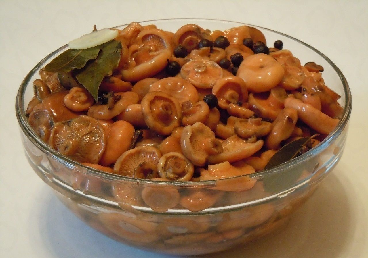Рецепт маринованных грибов. Рыжики грибы соленые. Соленые грузди рыжики. Рыжики маринованные. Грибы рыжики маринованные.